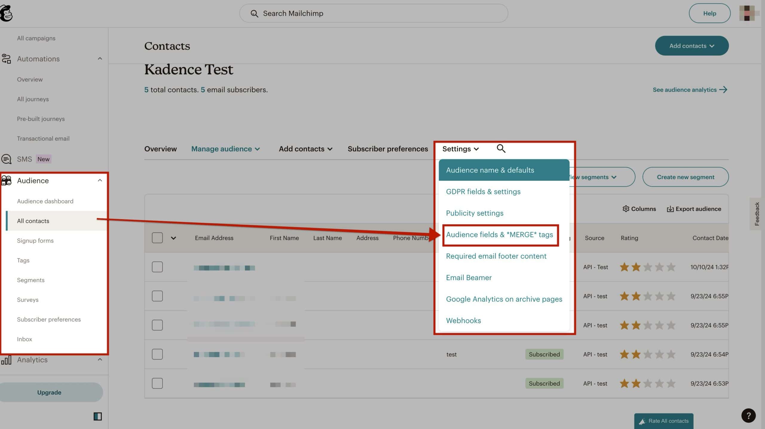 Audience Fields