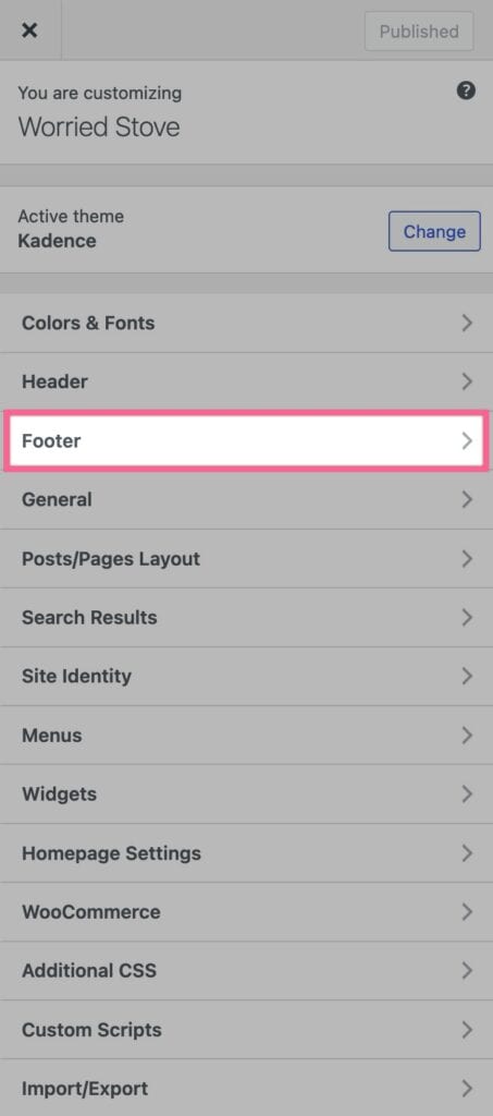 Customizer Footer