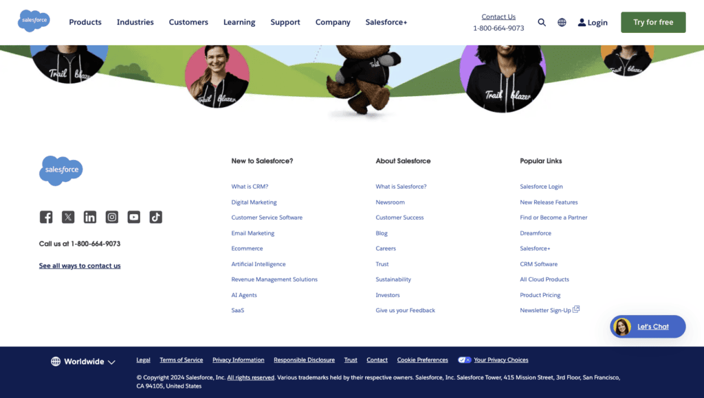 Salesforce website footer